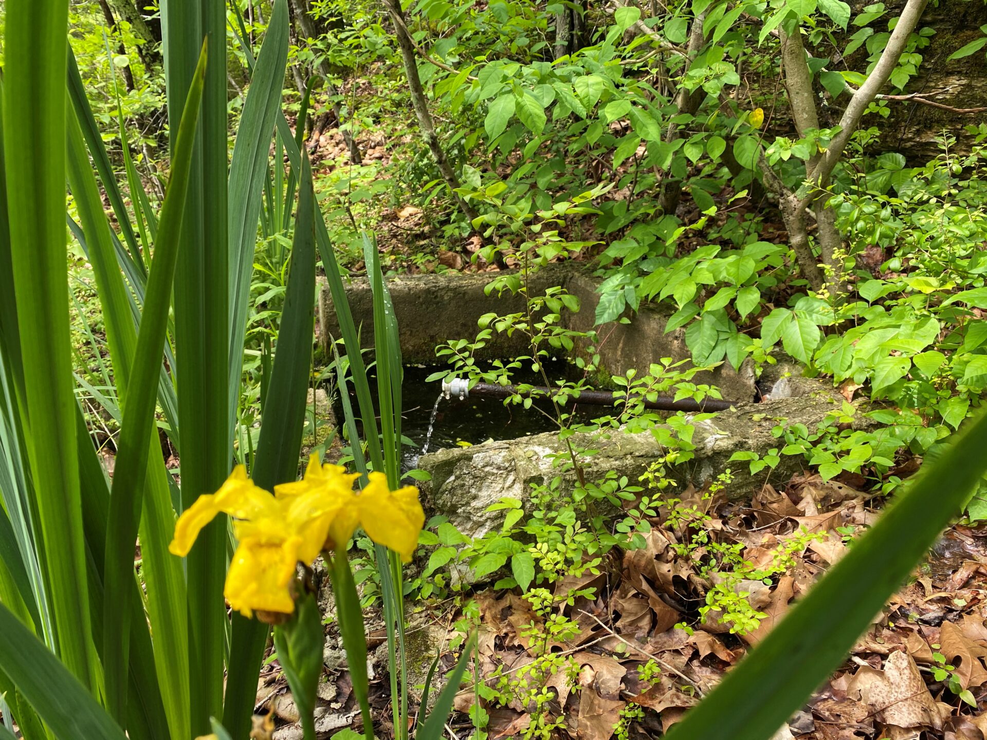 3478 Sweeney Hollow Road. Franklin TN — image 4