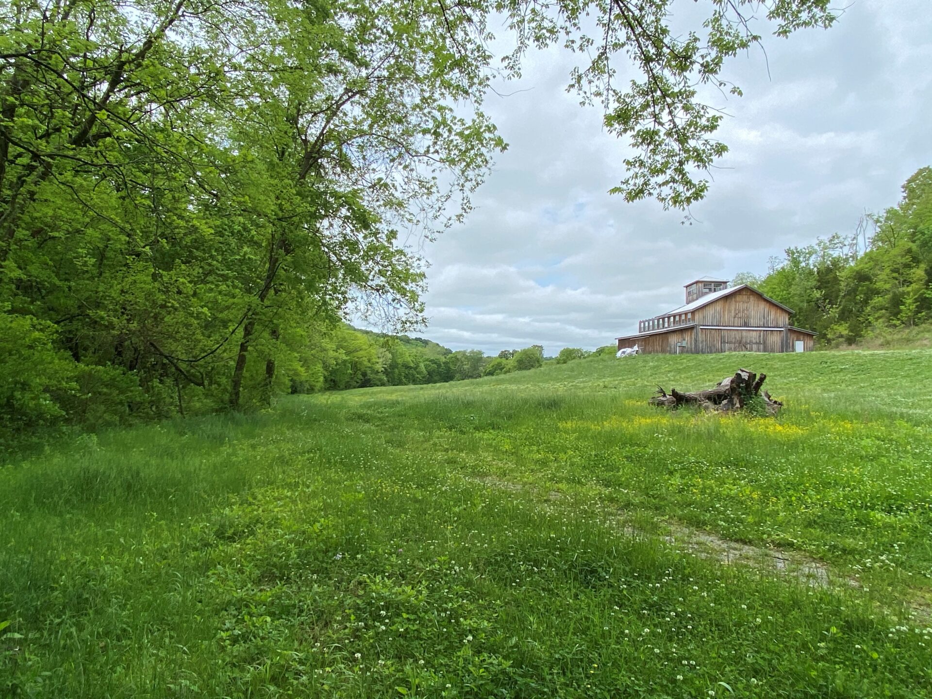 3478 Sweeney Hollow Road. Franklin TN — image 18