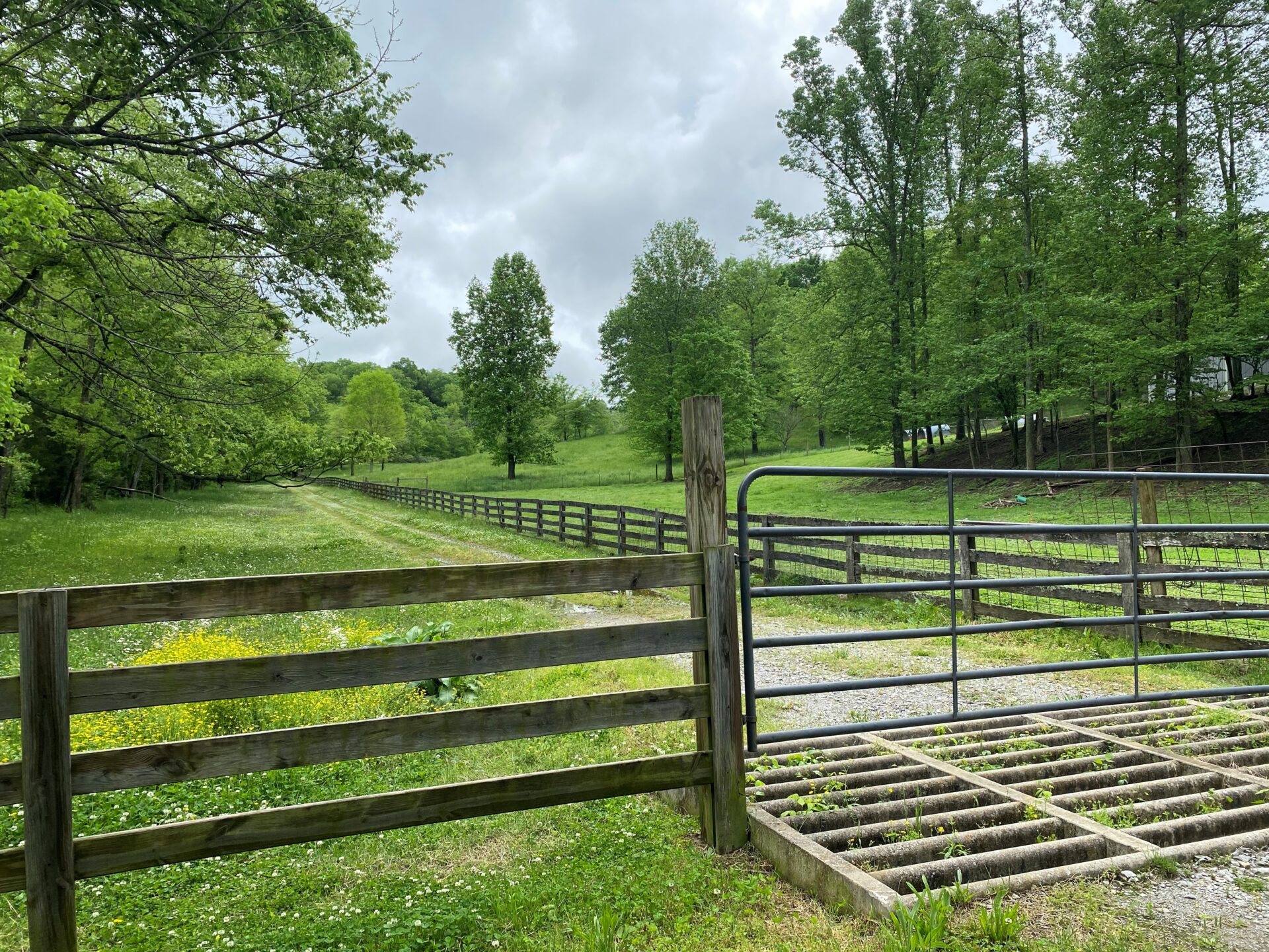 3478 Sweeney Hollow Road. Franklin TN — image 7