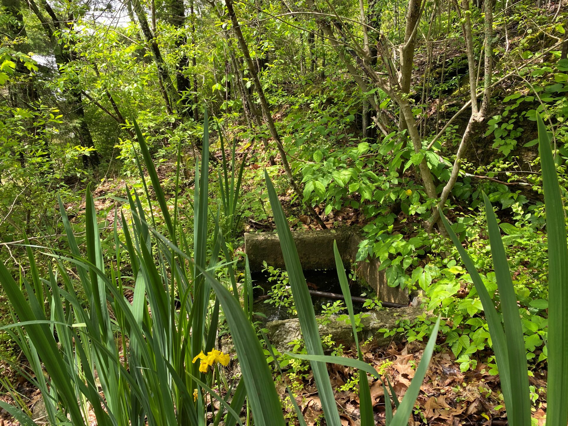 3478 Sweeney Hollow Road. Franklin TN — image 3