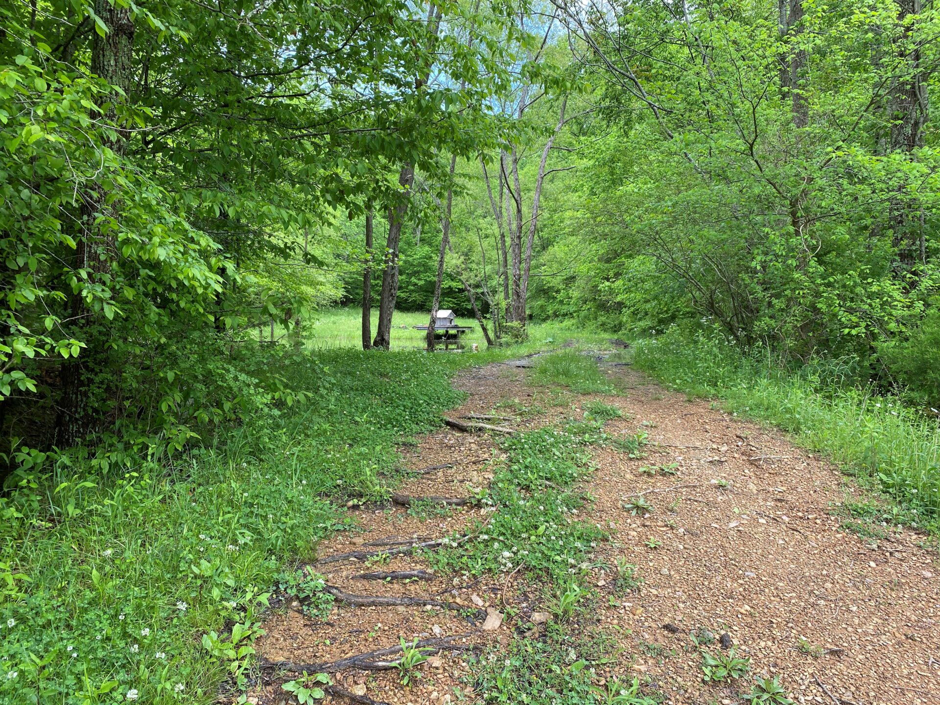 3478 Sweeney Hollow Road. Franklin TN — image 20