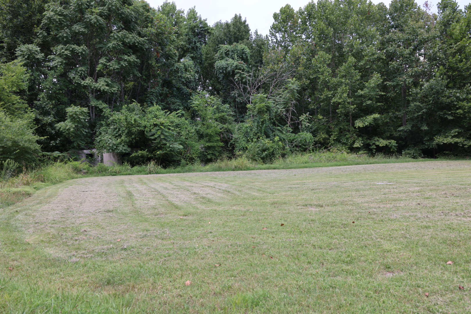8871 Hester Beasley Road. Nashville — image 8