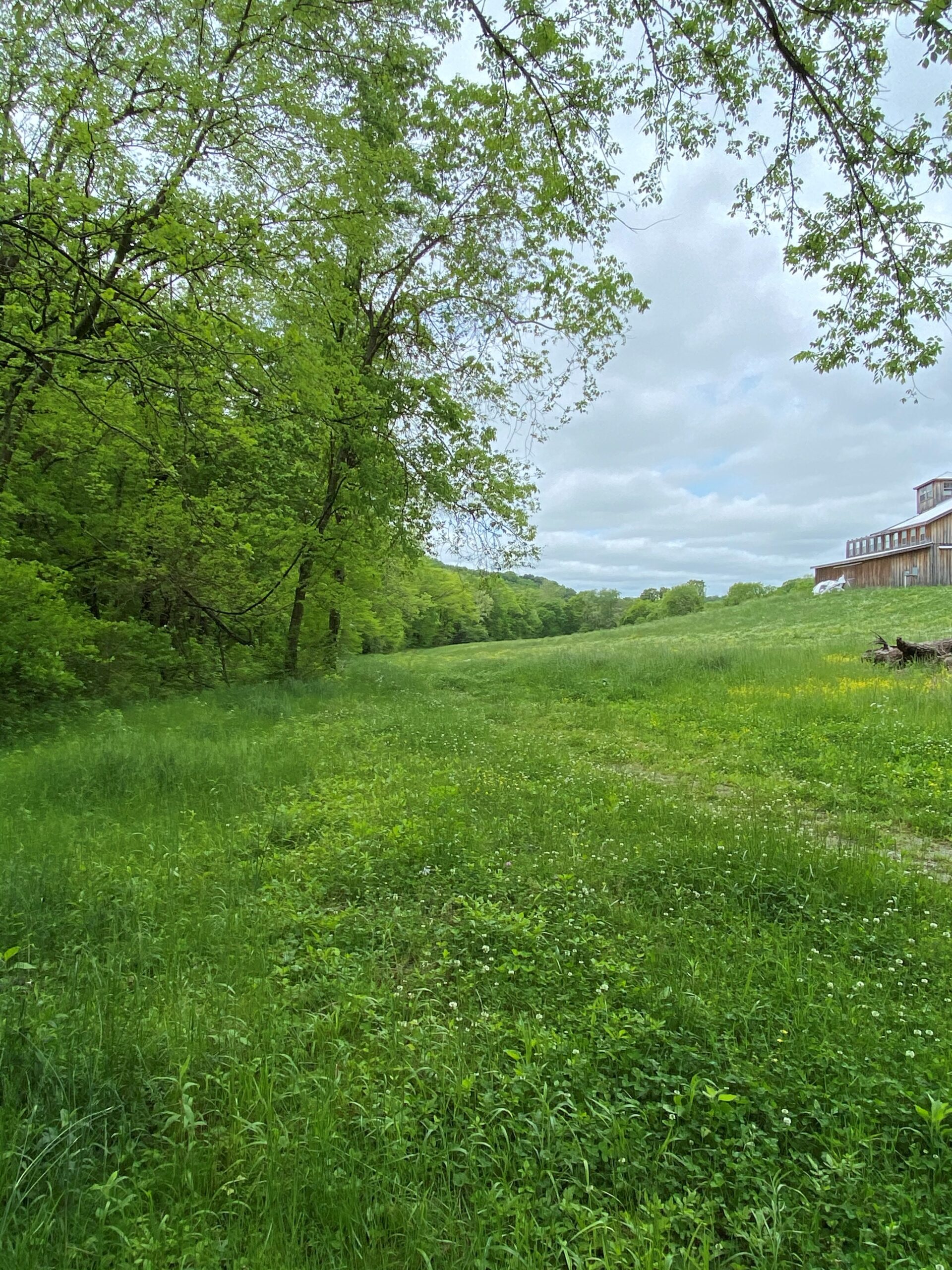 3478 Sweeney Hollow Road. Franklin TN — image 17