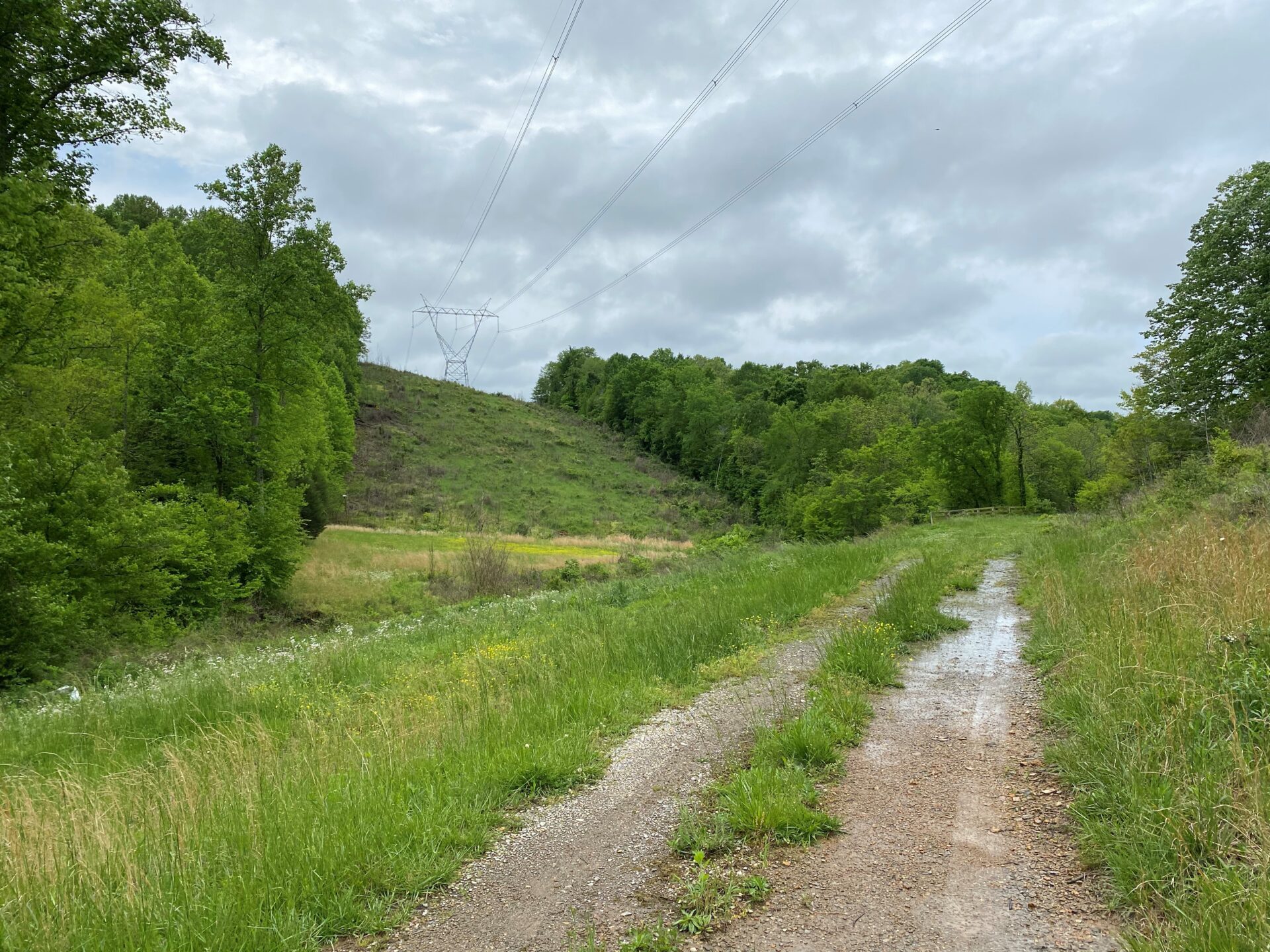 3478 Sweeney Hollow Road. Franklin TN — image 19