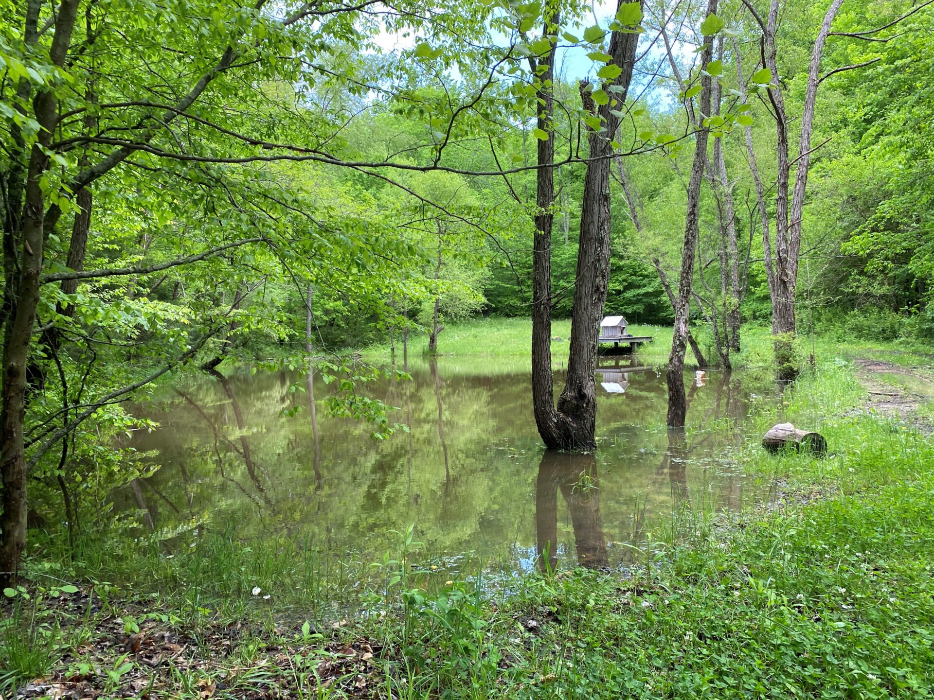 3478 Sweeney Hollow Road. Franklin TN — image 21