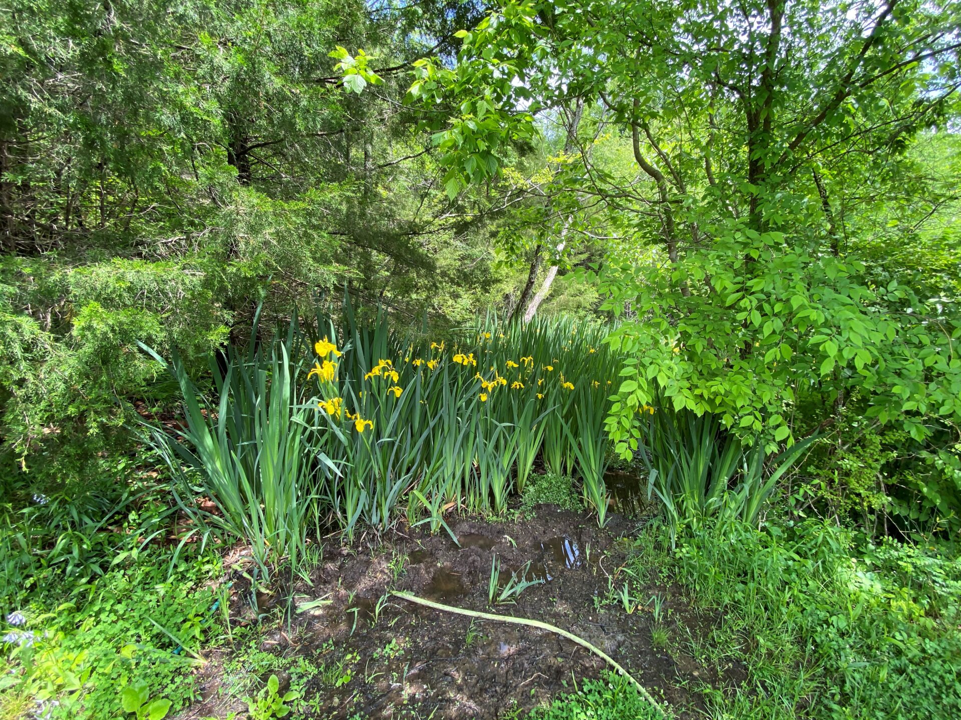3478 Sweeney Hollow Road. Franklin TN — image 10