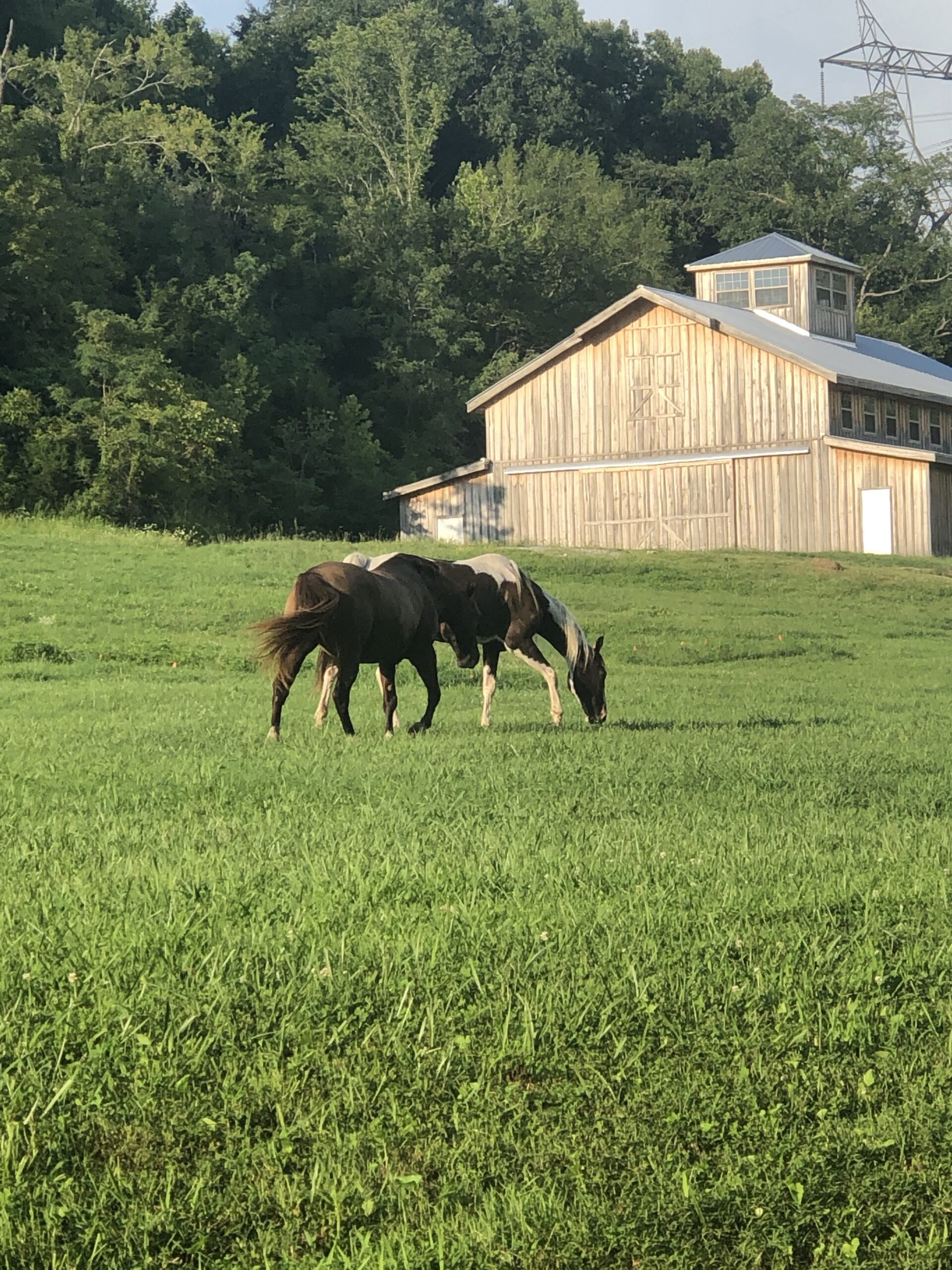 3478 Sweeney Hollow Road. Franklin TN — image 2