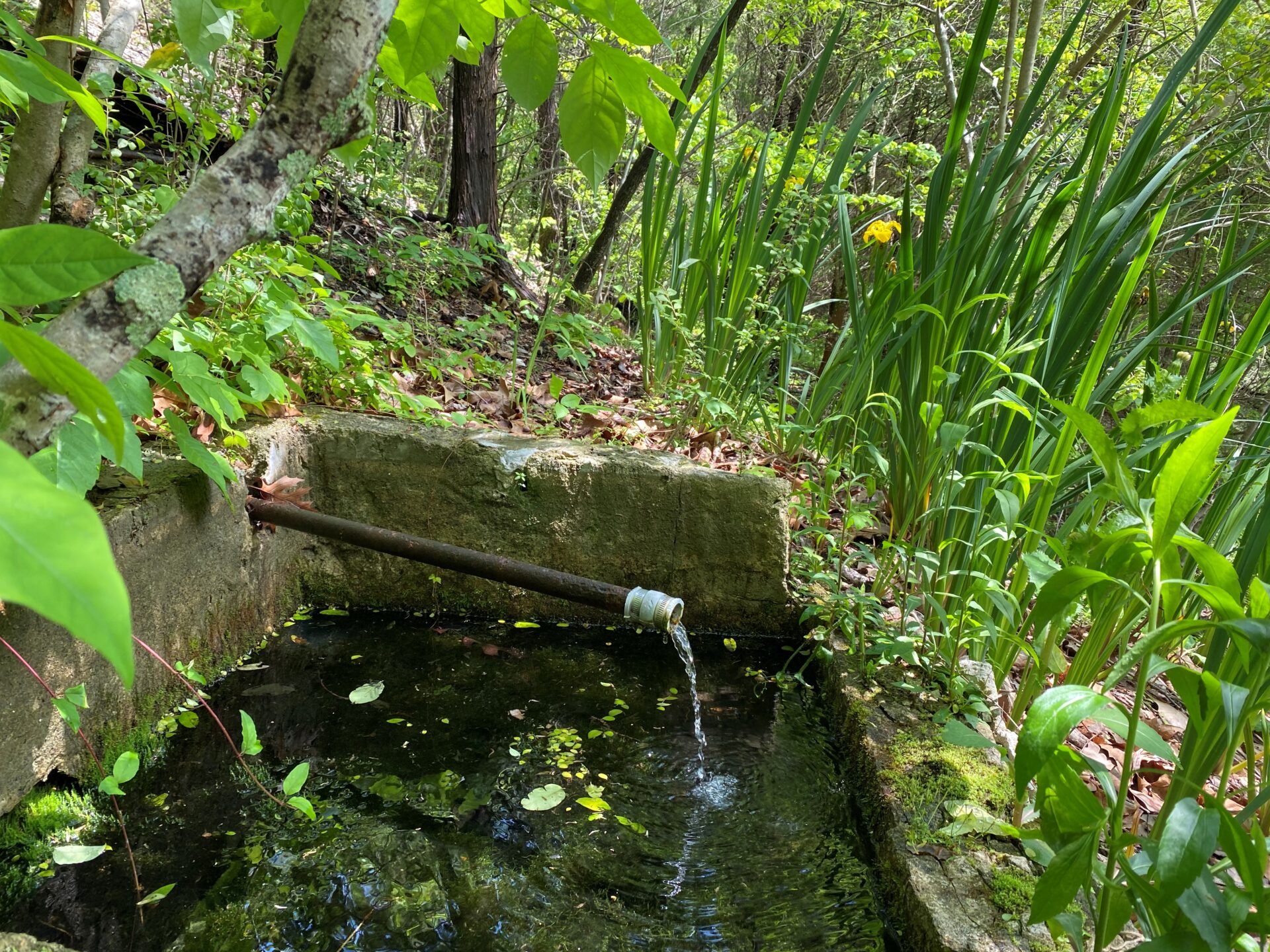 3478 Sweeney Hollow Road. Franklin TN — image 12